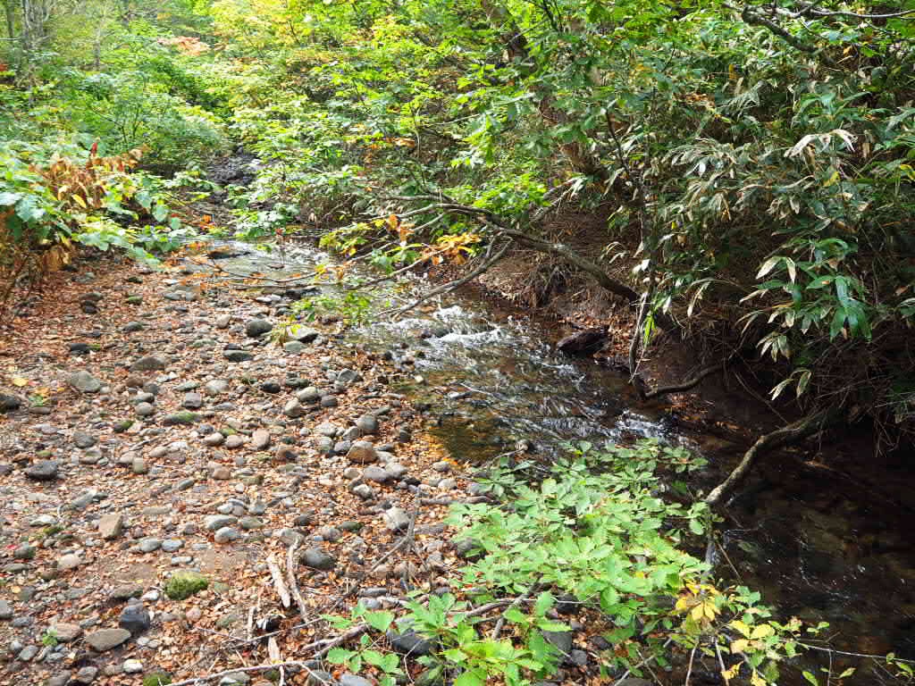 f:id:oyasumiameko:20191003193139j:plain f:id:oyasumiameko:20191003193139j:plain