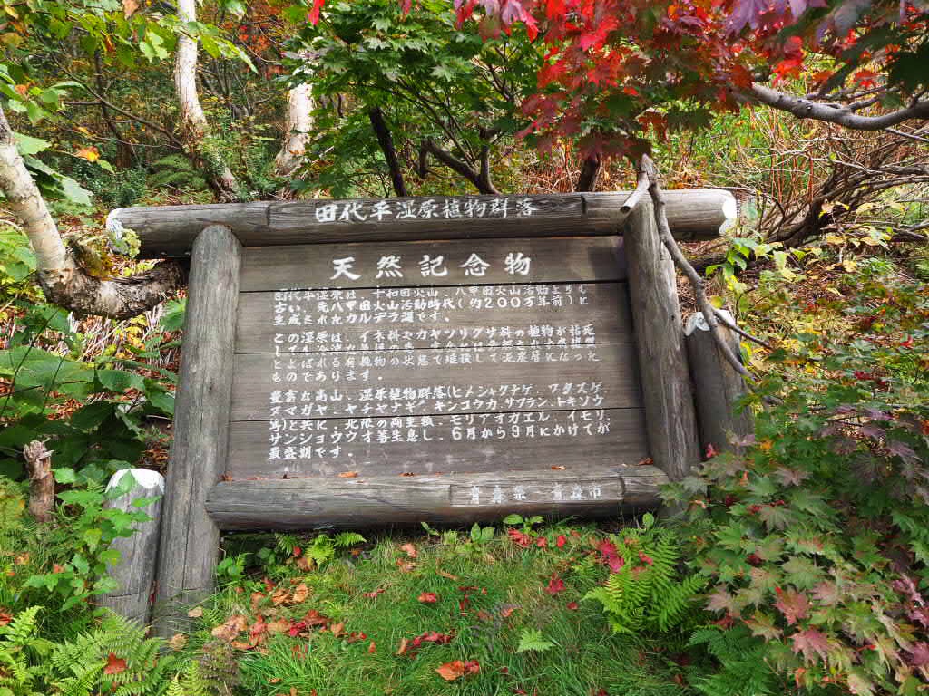 f:id:oyasumiameko:20191003193222j:plain f:id:oyasumiameko:20191003193222j:plain