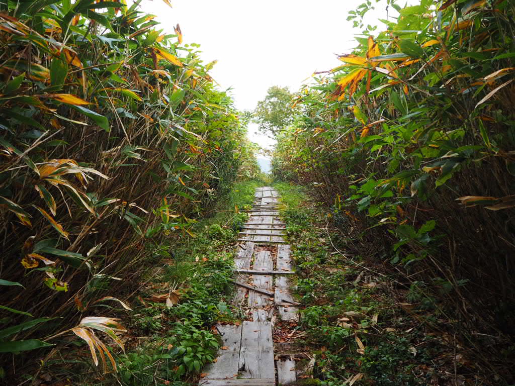 f:id:oyasumiameko:20191003193941j:plain f:id:oyasumiameko:20191003193941j:plain