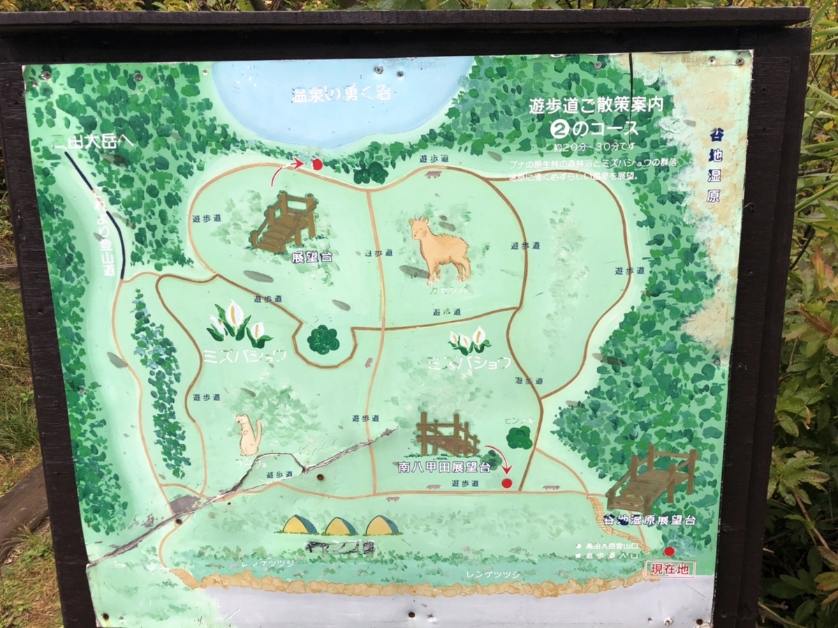 f:id:oyasumiameko:20191003200445j:plain f:id:oyasumiameko:20191003200445j:plain