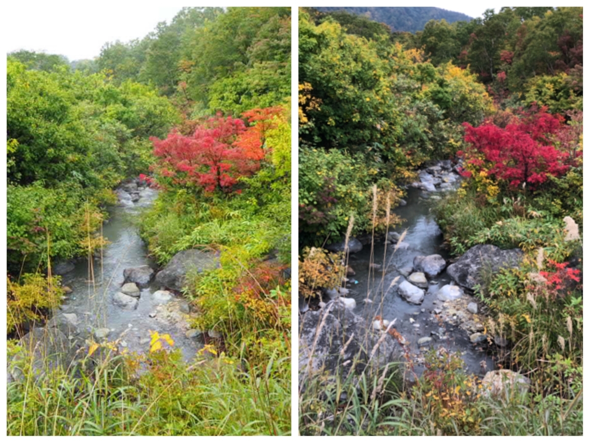 f:id:oyasumiameko:20191003200734j:plain f:id:oyasumiameko:20191003200734j:plain