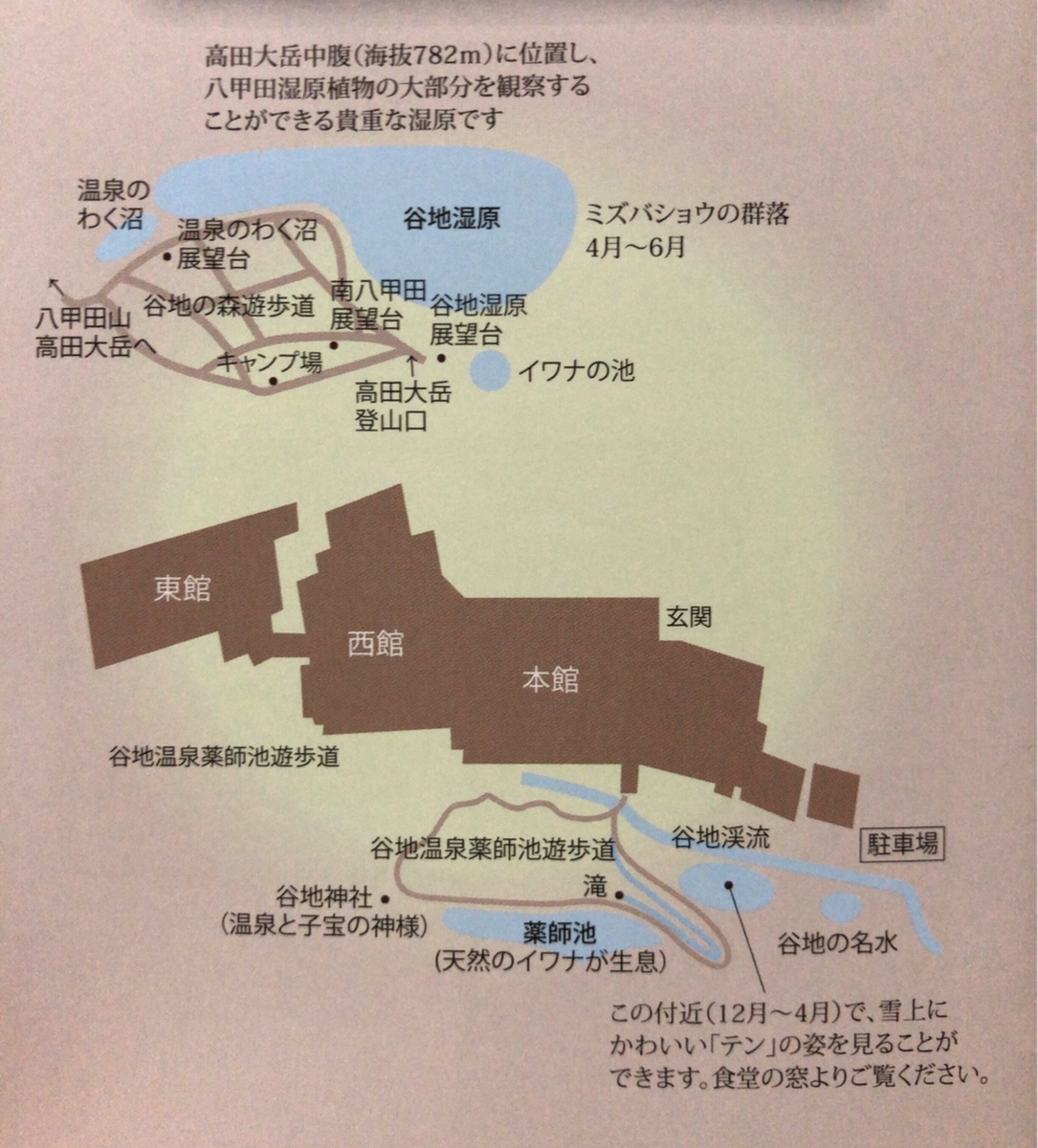 f:id:oyasumiameko:20191003205108j:plain f:id:oyasumiameko:20191003205108j:plain