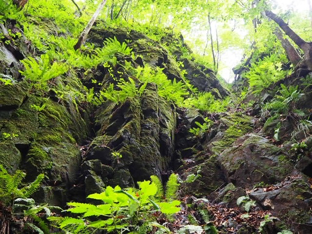 f:id:oyasumiameko:20191022124544j:plain f:id:oyasumiameko:20191022124544j:plain