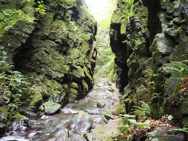 f:id:oyasumiameko:20191022124630j:plain f:id:oyasumiameko:20191022124630j:plain