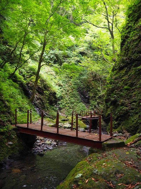 f:id:oyasumiameko:20191022124812j:plain f:id:oyasumiameko:20191022124812j:plain