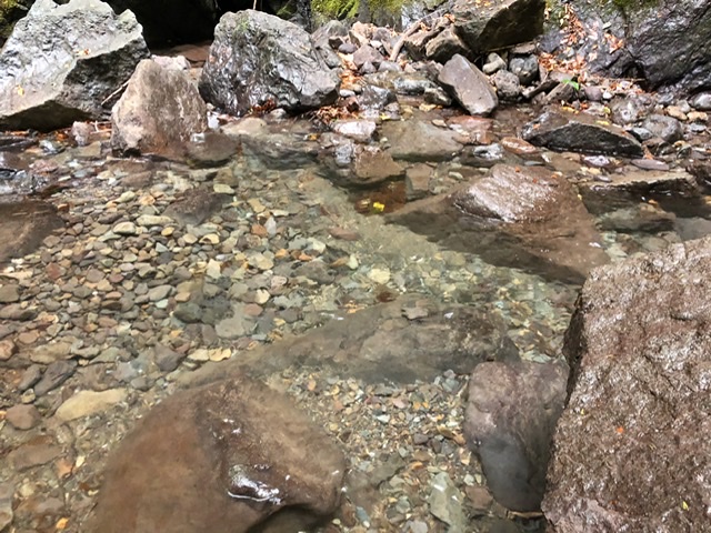 f:id:oyasumiameko:20191022125328j:plain f:id:oyasumiameko:20191022125328j:plain