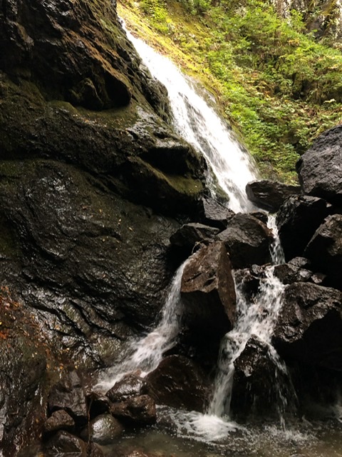 f:id:oyasumiameko:20191022125432j:plain f:id:oyasumiameko:20191022125432j:plain