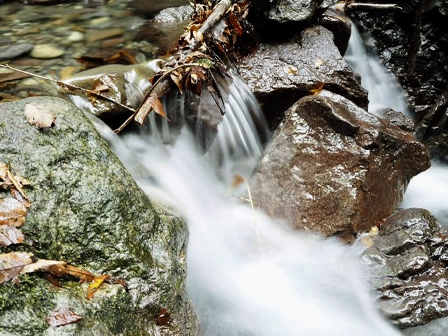 f:id:oyasumiameko:20191022125953j:plain f:id:oyasumiameko:20191022125953j:plain