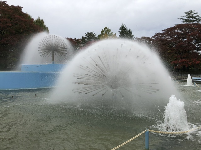 f:id:oyasumiameko:20191026210826j:plain