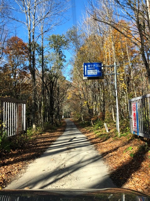 f:id:oyasumiameko:20191116135957j:plain f:id:oyasumiameko:20191116135957j:plain