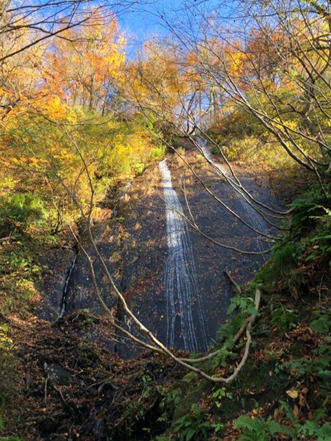 f:id:oyasumiameko:20191116140112j:plain f:id:oyasumiameko:20191116140112j:plain