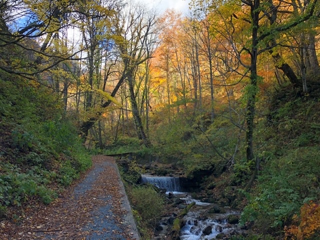 f:id:oyasumiameko:20191116140409j:plain f:id:oyasumiameko:20191116140409j:plain