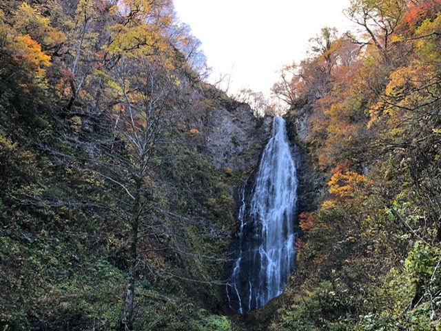 f:id:oyasumiameko:20191116140459j:plain f:id:oyasumiameko:20191116140459j:plain