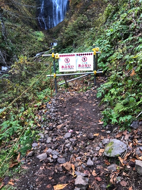 f:id:oyasumiameko:20191116140525j:plain f:id:oyasumiameko:20191116140525j:plain