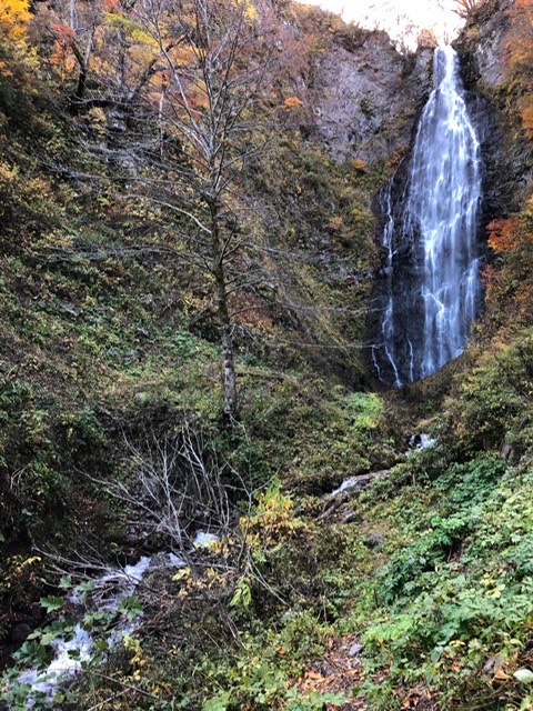 f:id:oyasumiameko:20191116140547j:plain f:id:oyasumiameko:20191116140547j:plain