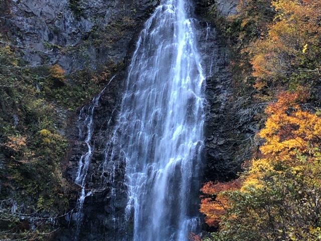 f:id:oyasumiameko:20191116140707j:plain f:id:oyasumiameko:20191116140707j:plain