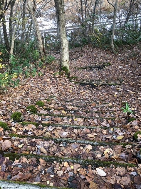 f:id:oyasumiameko:20191205222801j:plain