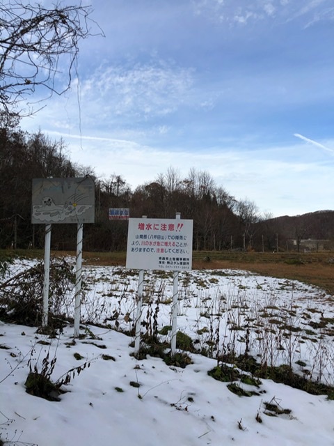 f:id:oyasumiameko:20191205222832j:plain