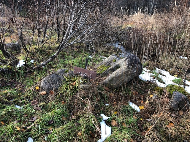 f:id:oyasumiameko:20191205223302j:plain