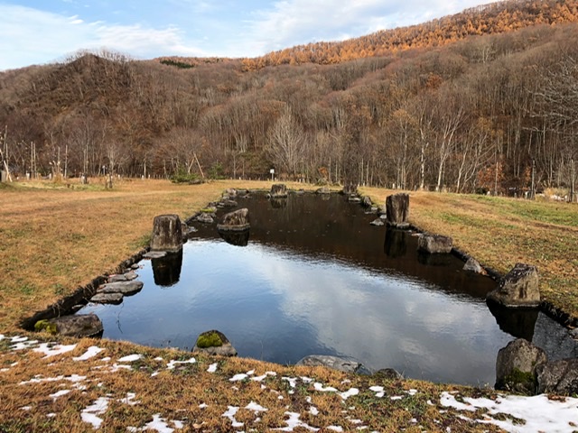 f:id:oyasumiameko:20191205223433j:plain