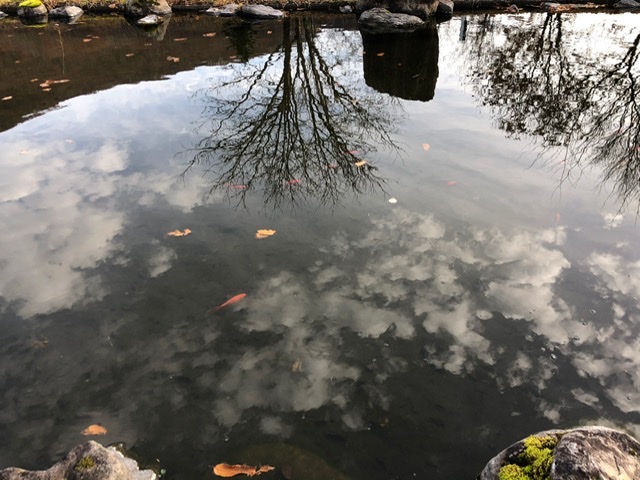 f:id:oyasumiameko:20191205223841j:plain