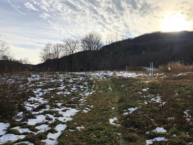 f:id:oyasumiameko:20191205224108j:plain