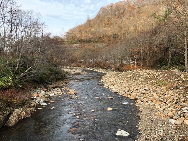 f:id:oyasumiameko:20191205224705j:plain