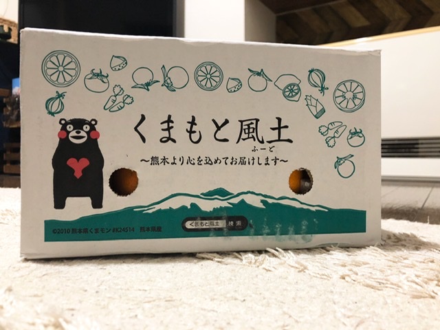 f:id:oyasumiameko:20191226202904j:plain