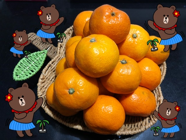 f:id:oyasumiameko:20191226204042j:plain