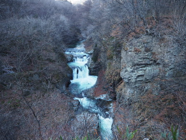 f:id:oyasumiameko:20200106223239j:plain