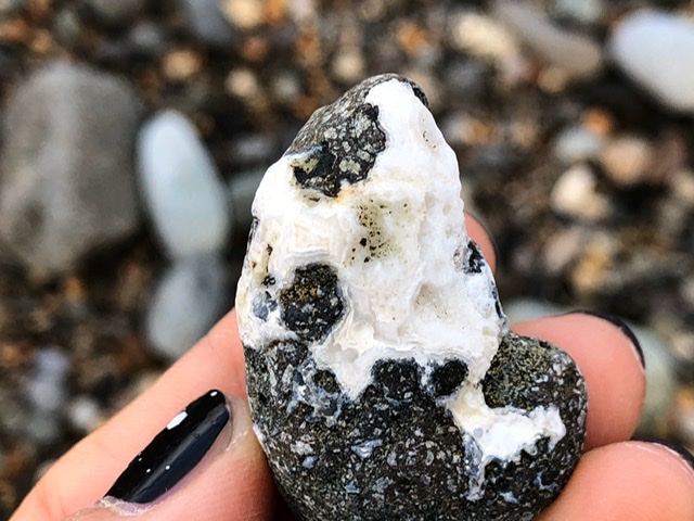 f:id:oyasumiameko:20200202210144j:plain