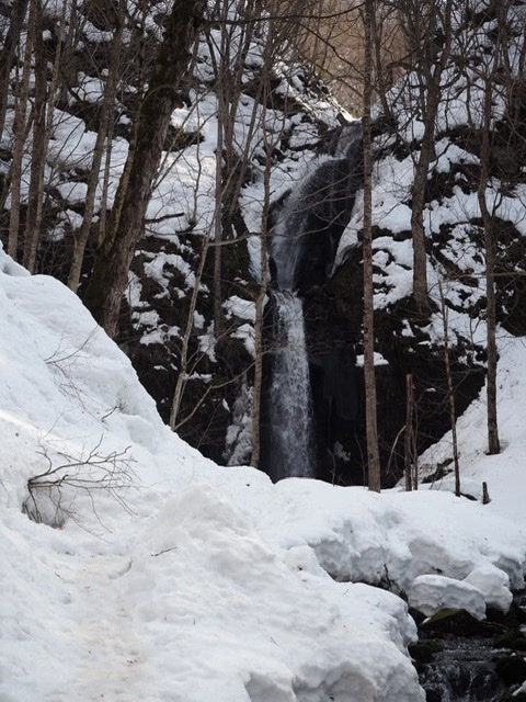 f:id:oyasumiameko:20200223194832j:plain f:id:oyasumiameko:20200223194832j:plain