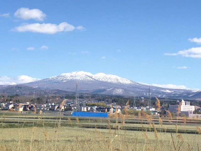 f:id:oyasumiameko:20200416214620j:plain