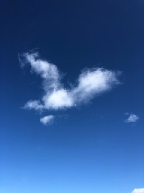 f:id:oyasumiameko:20200416214809j:plain