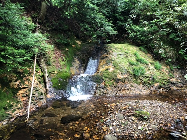 f:id:oyasumiameko:20200621220116j:plain