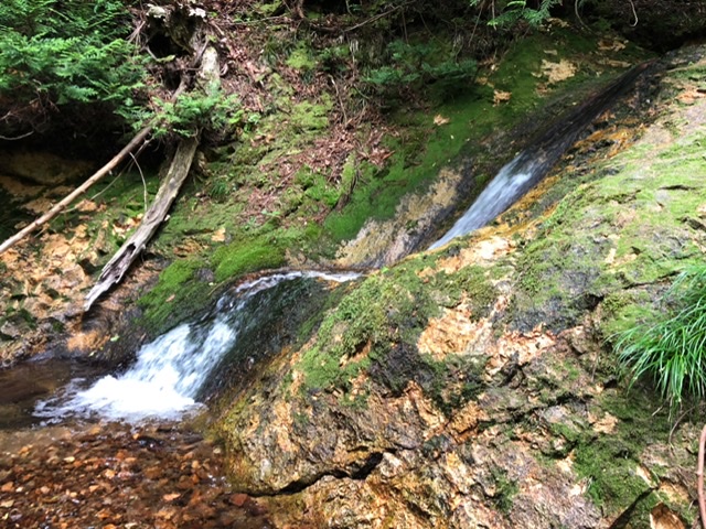 f:id:oyasumiameko:20200621220703j:plain