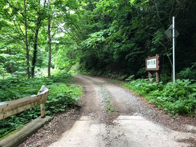 f:id:oyasumiameko:20200621222301j:plain