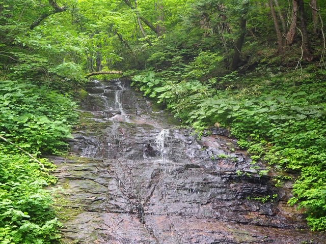 f:id:oyasumiameko:20200621225832j:plain