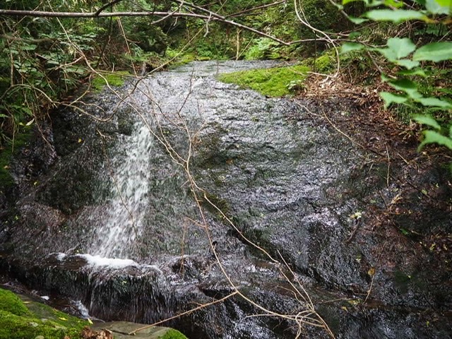 f:id:oyasumiameko:20200622200253j:plain