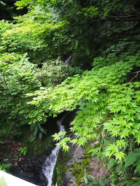 f:id:oyasumiameko:20200622200501j:plain