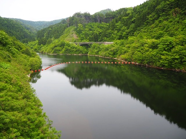 f:id:oyasumiameko:20200622200550j:plain