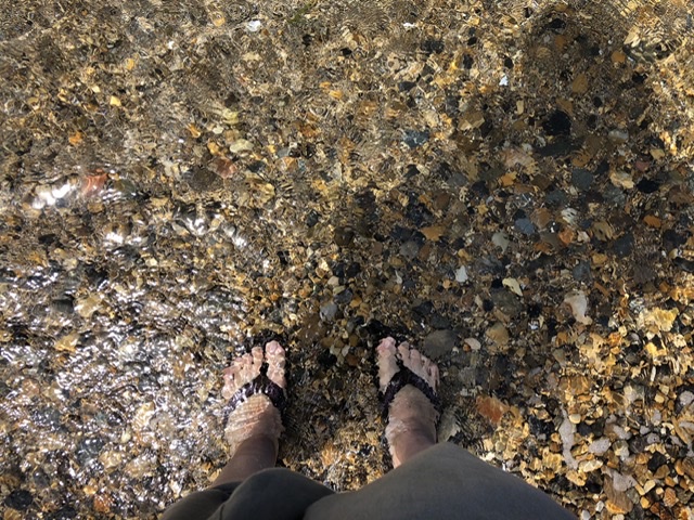 f:id:oyasumiameko:20200730200633j:plain