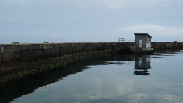 f:id:oyasumiameko:20200731214206j:plain f:id:oyasumiameko:20200731214206j:plain