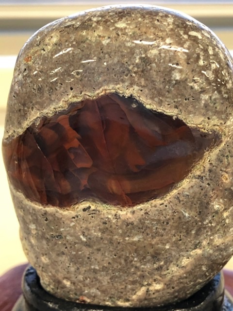 f:id:oyasumiameko:20201024210557j:plain