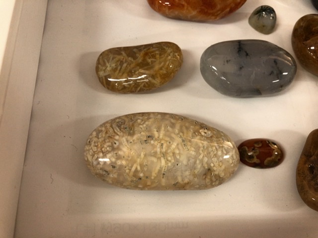 f:id:oyasumiameko:20201024210857j:plain