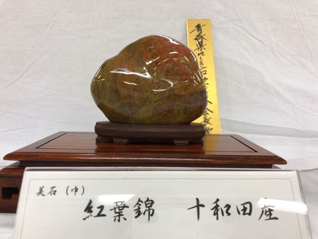 f:id:oyasumiameko:20201024211102j:plain