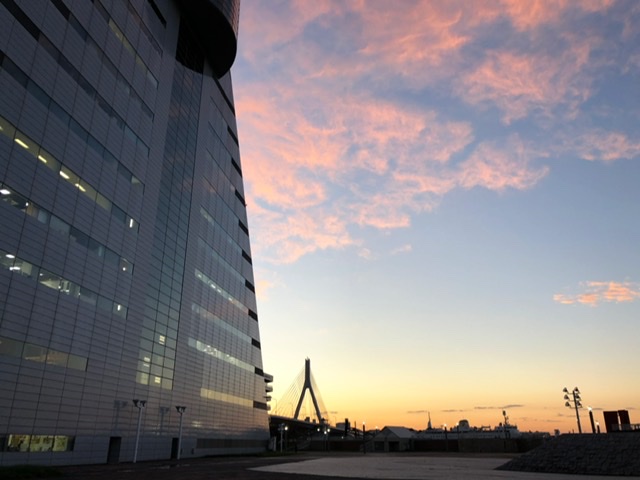 f:id:oyasumiameko:20201024211527j:plain