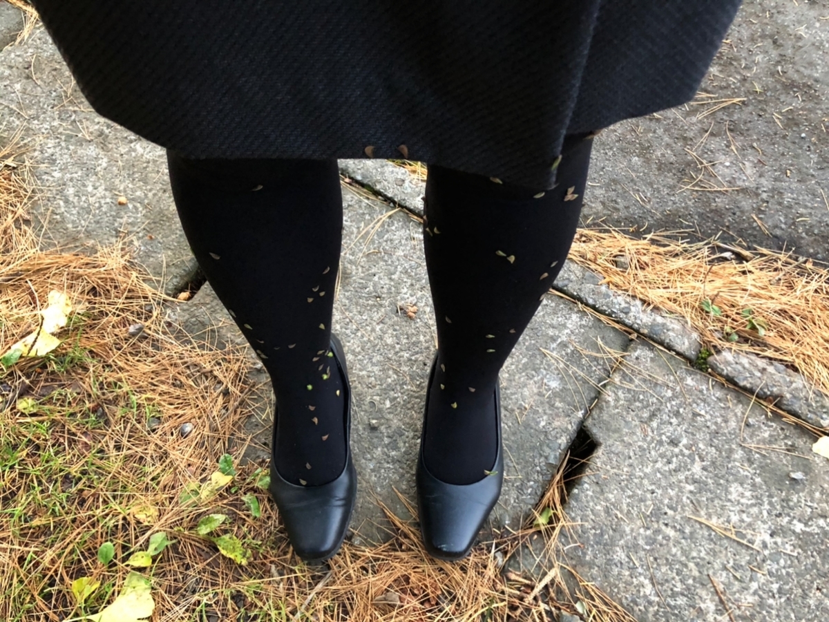 f:id:oyasumiameko:20201107171000j:plain