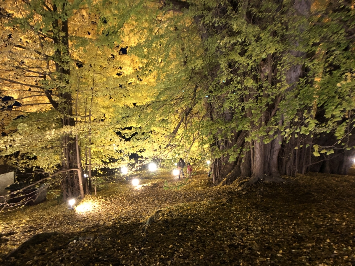 f:id:oyasumiameko:20201125203132j:plain