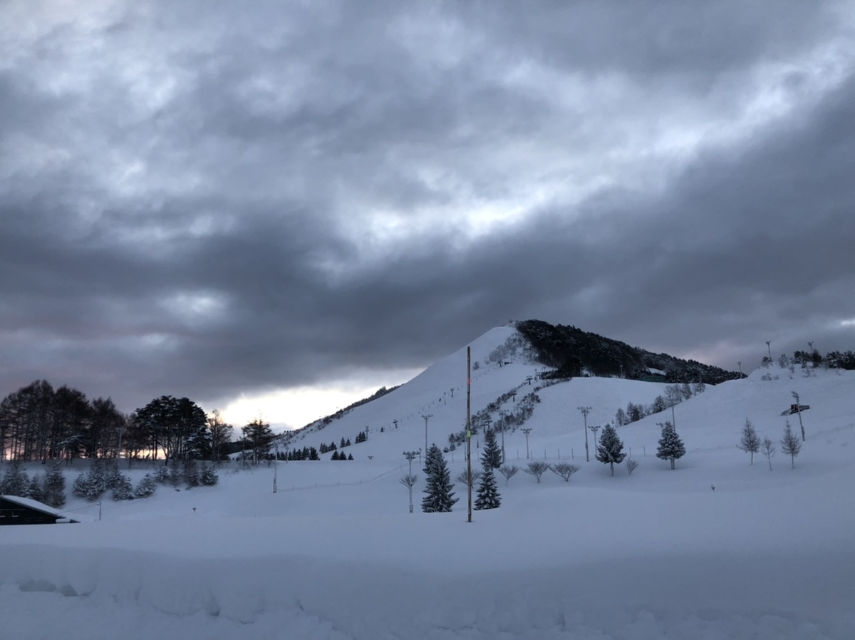 f:id:oyasumiameko:20210110061941j:plain